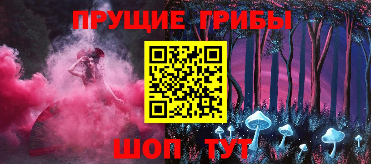 Кунгур  Галлюциногенные грибы Psilocybe  Вход с VPN 